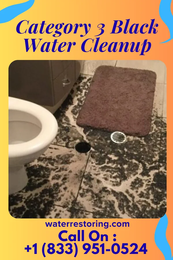 Category 3 Black Water Cleanup in Chandler, IN