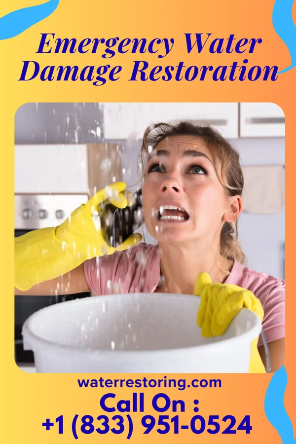 Emergency Water Damage Restoration in Chandler, IN